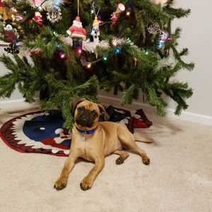 Meet your Posher, Addison